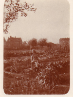 CV696