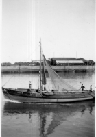 CV941