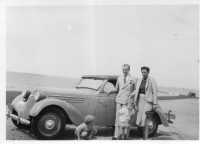 CV981