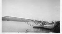 CW175
