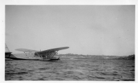CW176