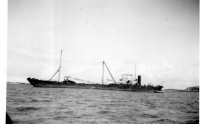 CW331