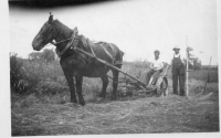 CW371