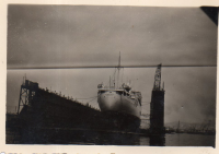 CW388