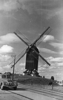 CW545