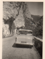 CX195