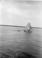 CX452