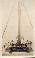 CY309