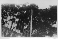 CY916