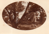 DA083