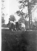 DA118