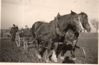 DA159