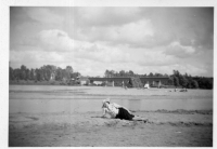 DA193