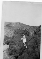 DA226