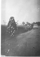DA248