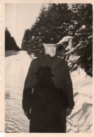 DA253