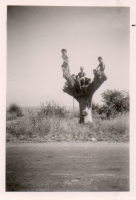 DC370