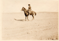 DC704