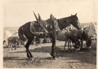 DC712
