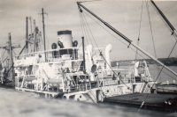 DD193