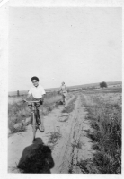 DD293