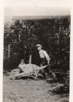DD296