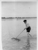 DD393