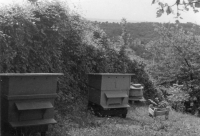 DD622