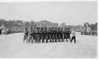 DD706