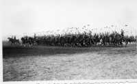 DD783