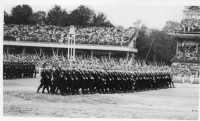 DD812