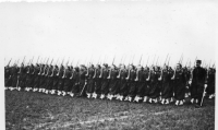 DD815