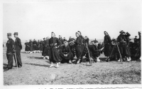 DD816