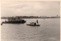 DE031