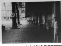 DE056