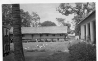 DE068
