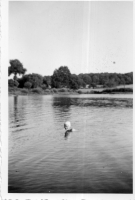 DE175