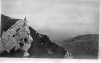 DE179