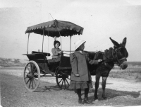 DE184