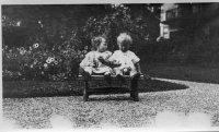 DE196
