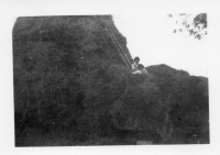 DE252