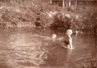 DE272