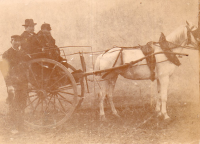 DE287