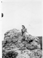 DE334