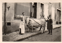 DE412