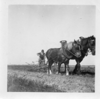 DE473