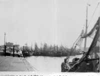 DE516