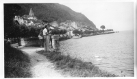 DE521