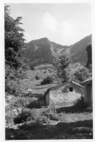 DE524
