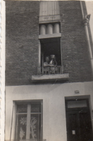 DE533